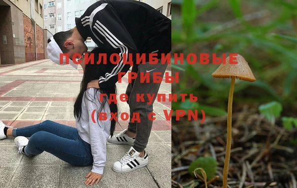 крисы Козловка