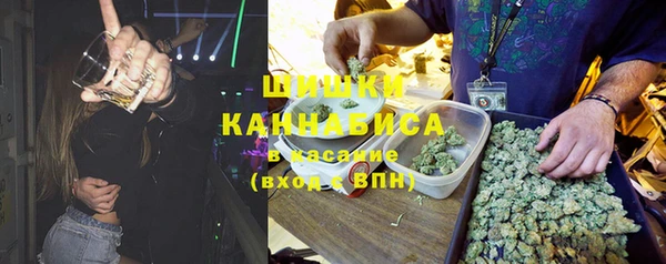 крисы Козловка
