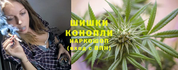 ALPHA PVP Козельск