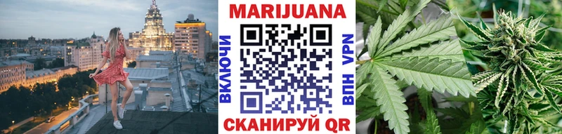 Канабис сатива  Сегежа 